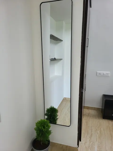 Full-length mirror and a potted plant in the passage